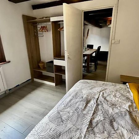 Appartement De Charme Alsacien, Centre Historique Sélestat Zewnętrze zdjęcie