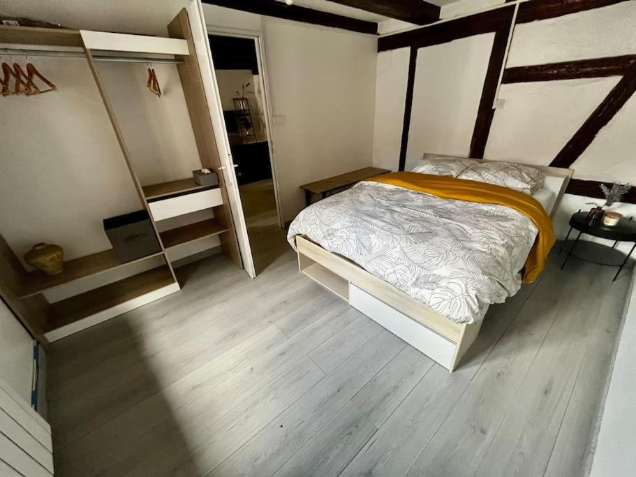 Appartement De Charme Alsacien, Centre Historique Sélestat Zewnętrze zdjęcie