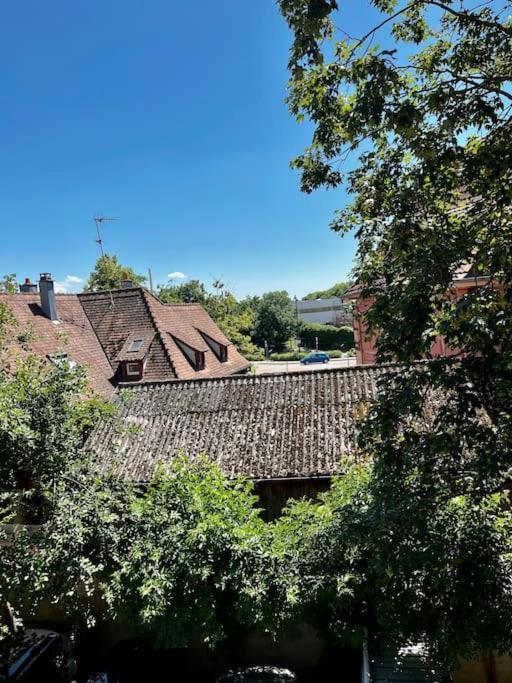 Appartement De Charme Alsacien, Centre Historique Sélestat Zewnętrze zdjęcie