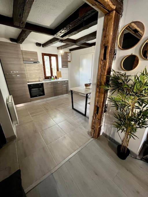 Appartement De Charme Alsacien, Centre Historique Sélestat Zewnętrze zdjęcie