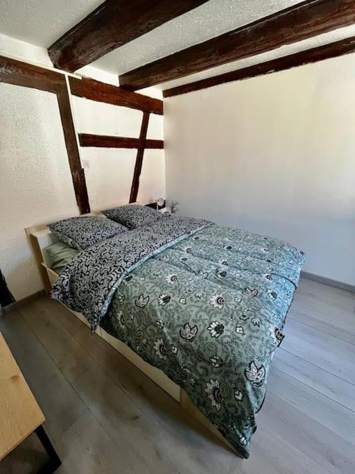 Appartement De Charme Alsacien, Centre Historique Sélestat Zewnętrze zdjęcie