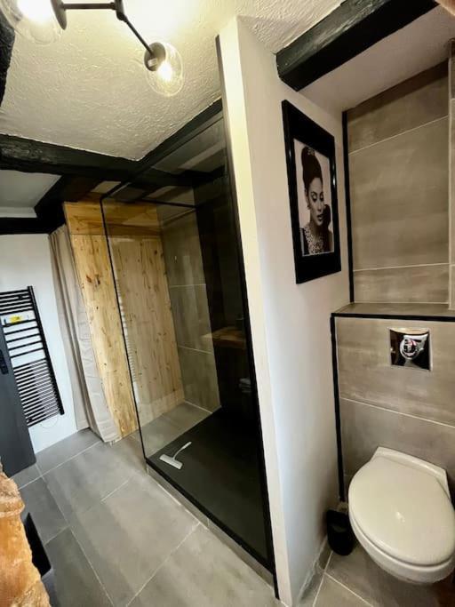 Appartement De Charme Alsacien, Centre Historique Sélestat Zewnętrze zdjęcie